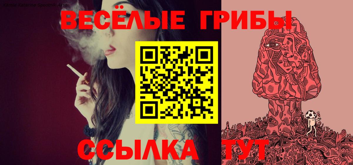 Шатура  Галлюциногенные грибы GOLDEN TEACHER  Вход с VPN  Галлюциногенные грибы MAGIC MUSHROOMS 